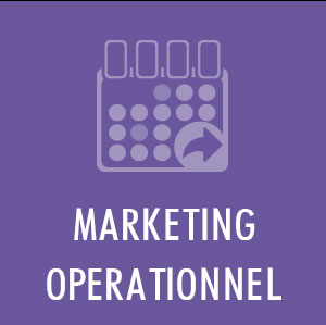 marketing stratégique et marketing opérationnel outils de la réussite
